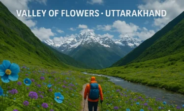 Valley of flowers trek