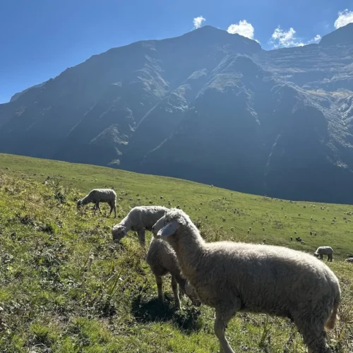 Buran Ghati Trek