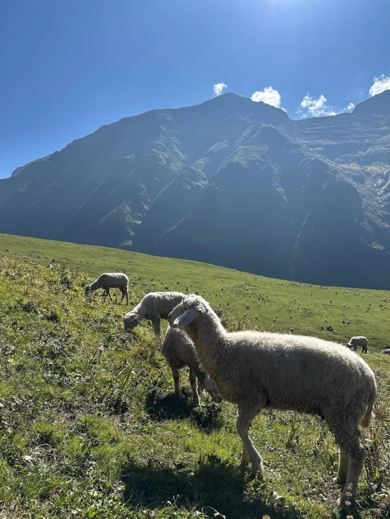 Buran Ghati Trek